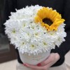 Коробка с хризантемами и подсолнухом Любимой Мамочке